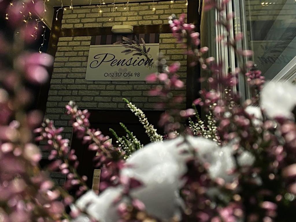 Pension Lavendel Harztor Exterior photo