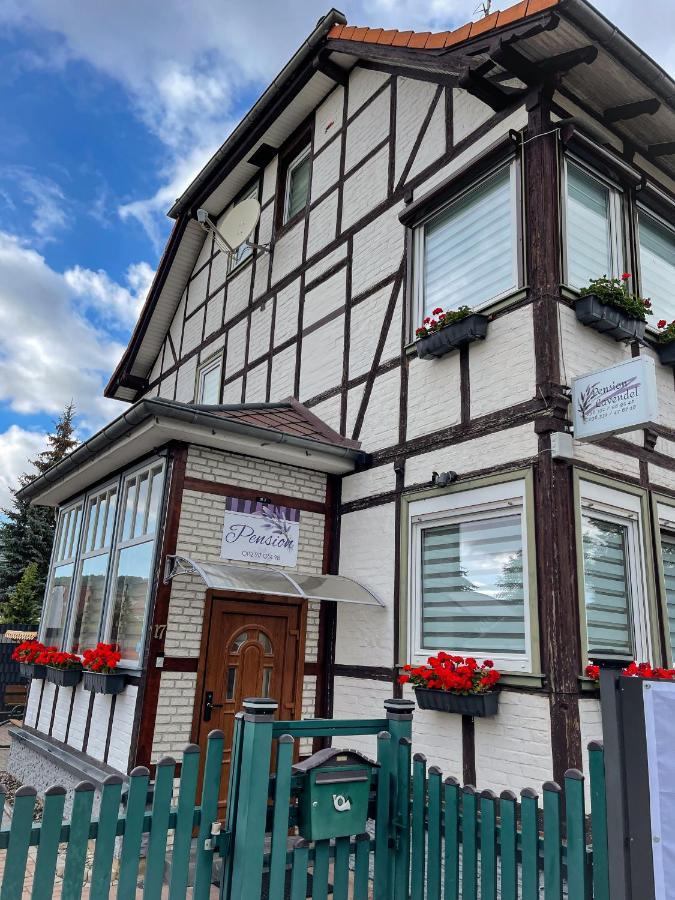 Pension Lavendel Harztor Exterior photo